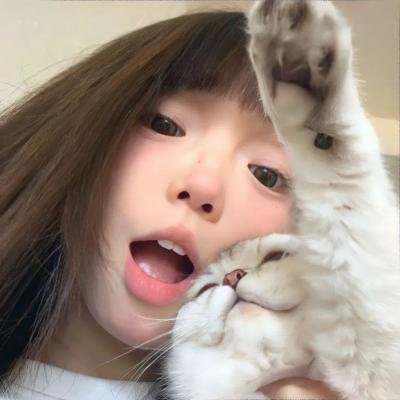 女人的碎片